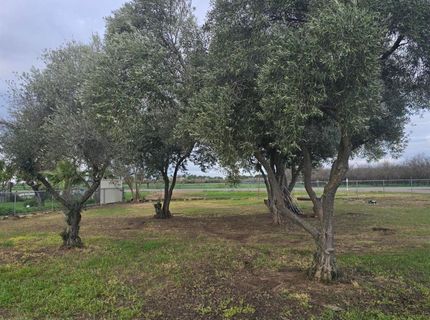 11315 Childs Ave, Le Grand, CA 95333 Photo