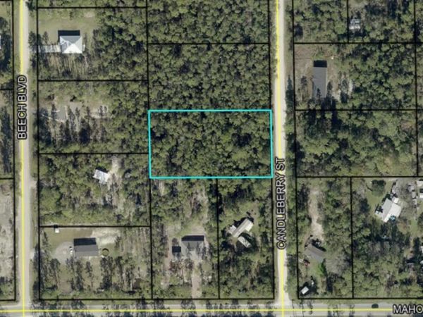 1402 CANDLEBERRY STREET , BUNNELL, FL 32110