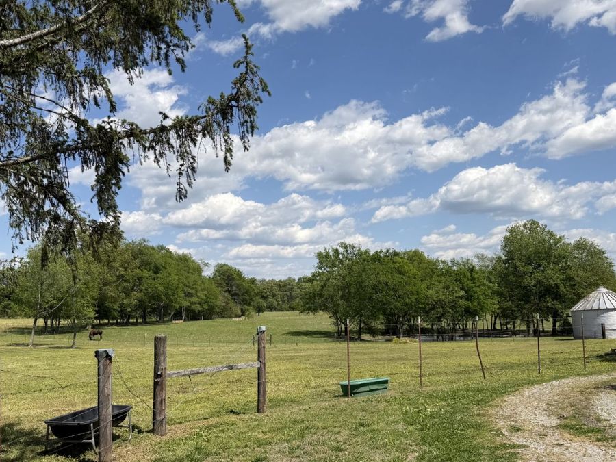 Property Image 36