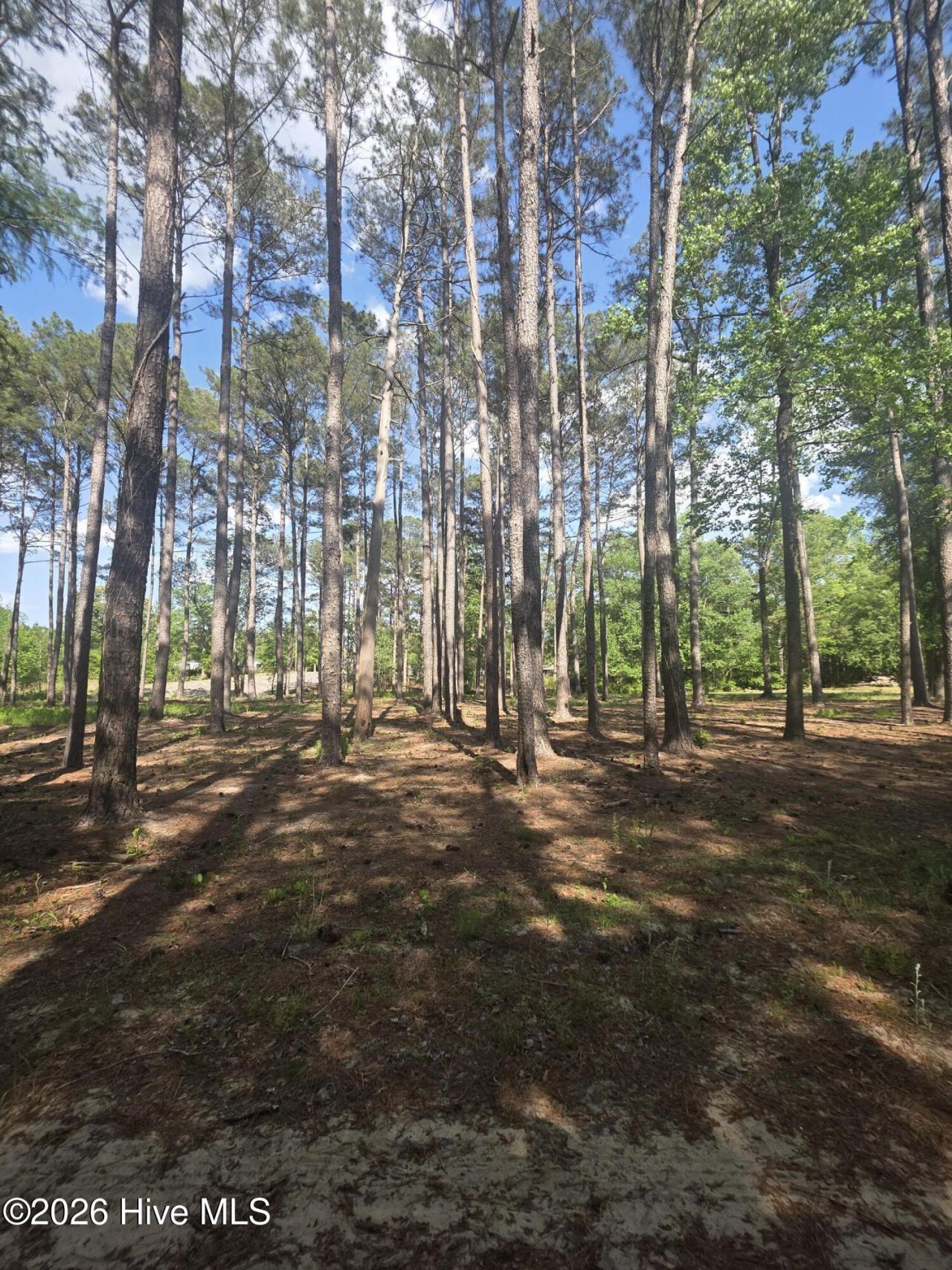 Lot #46 Juniper Lane, Currie, NC 28435 Main Photo