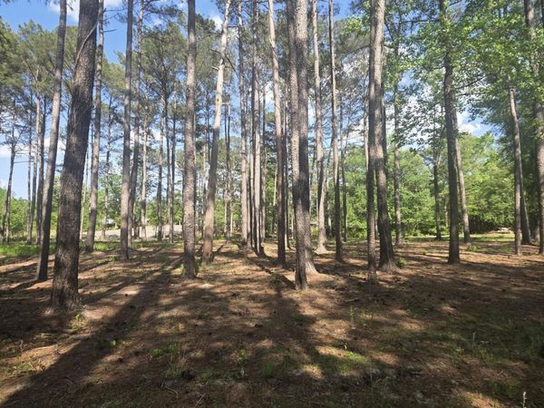 Lot #47 Juniper Lane, Currie, NC 28435