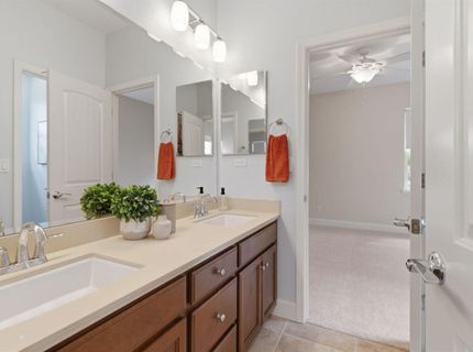 517 N Castellina Ter, Mountain House, CA 95391 Photo