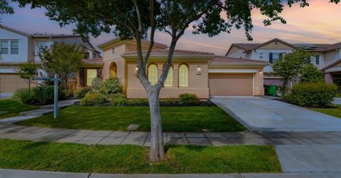 517 N Castellina Ter, Mountain House, CA 95391 Photo