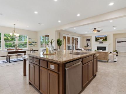 517 N Castellina Ter, Mountain House, CA 95391 Photo