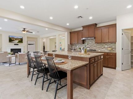 517 N Castellina Ter, Mountain House, CA 95391 Photo