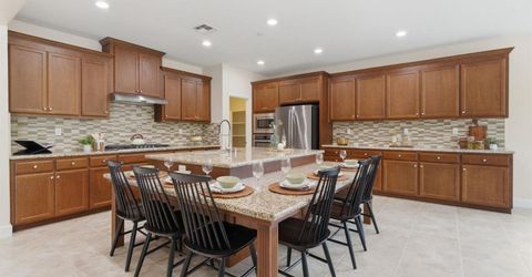 517 N Castellina Ter, Mountain House, CA 95391 Photo