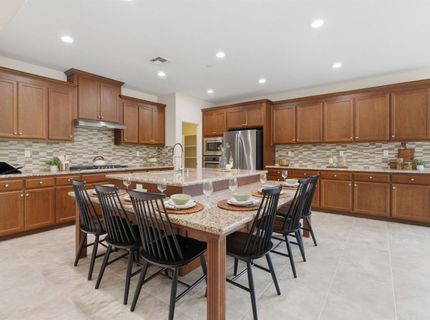 517 N Castellina Ter, Mountain House, CA 95391 Photo