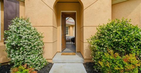 517 N Castellina Ter, Mountain House, CA 95391 Photo