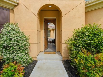 517 N Castellina Ter, Mountain House, CA 95391 Photo