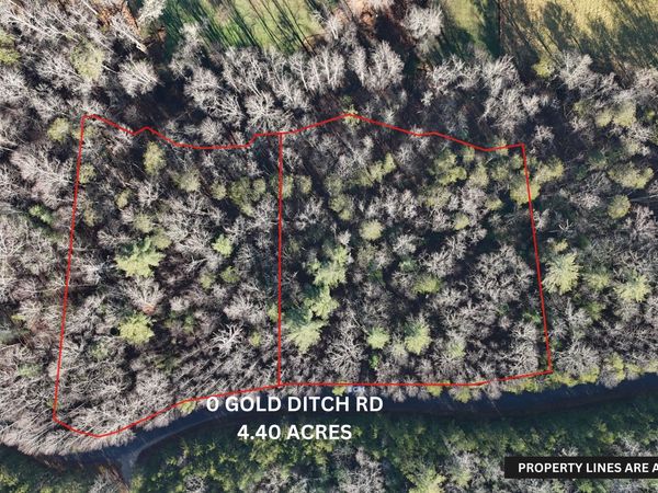 LOT 10 Gold Ditch Road, Cleveland, GA 30528
