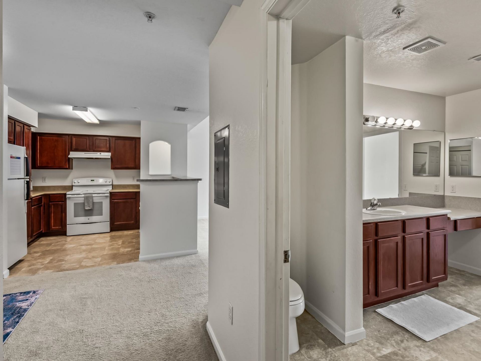 2801 Chancellorsville Drive, Unit 1333, Tallahassee, FL 32312 Photo