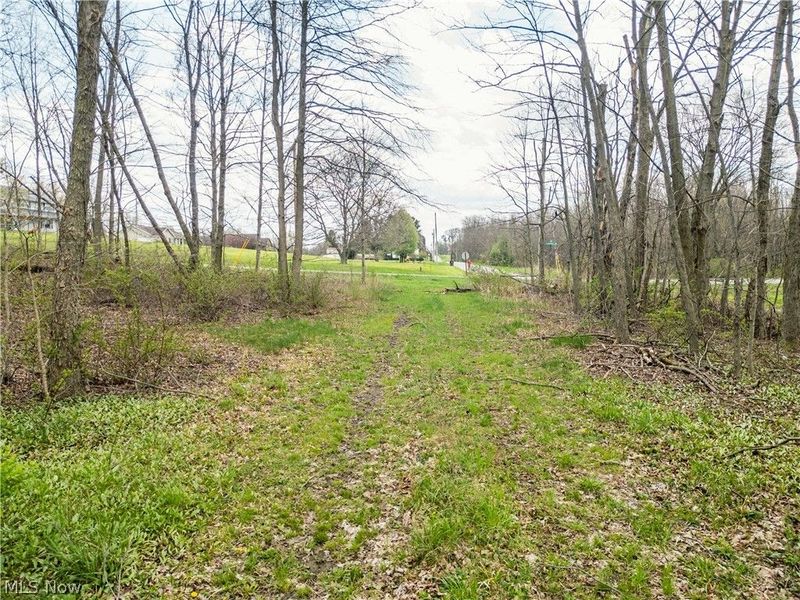 Steiner Road, Creston, OH 44217 Photo 11