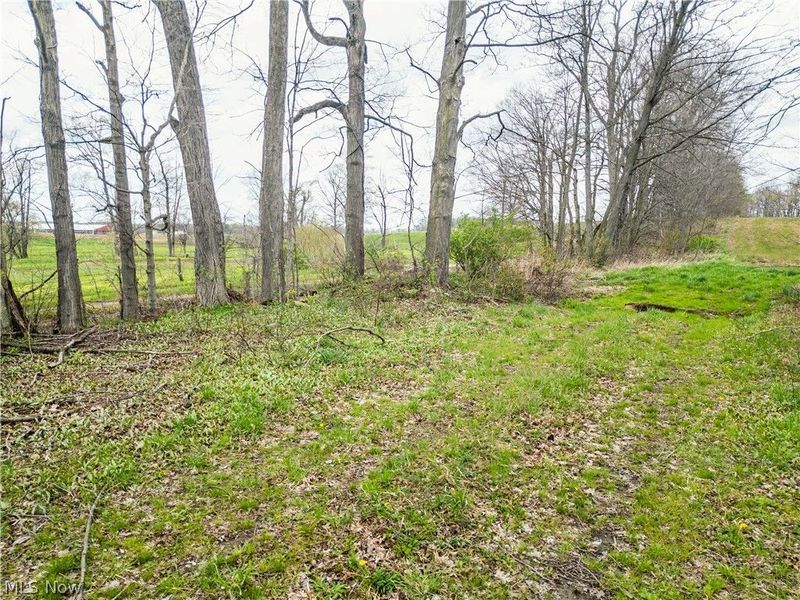 Steiner Road, Creston, OH 44217 Photo 12