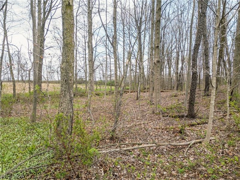 Steiner Road, Creston, OH 44217 Photo 12