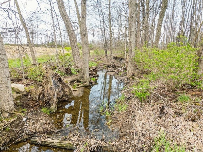 Steiner Road, Creston, OH 44217 Photo 13