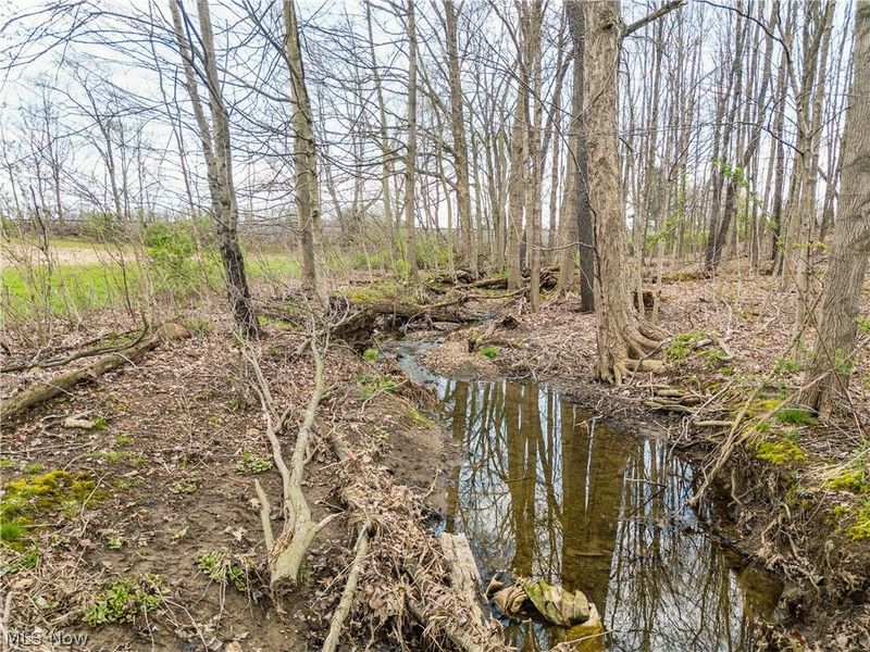Steiner Road, Creston, OH 44217 Photo 15