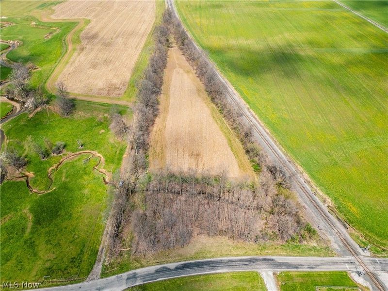 Steiner Road, Creston, OH 44217 Photo 16