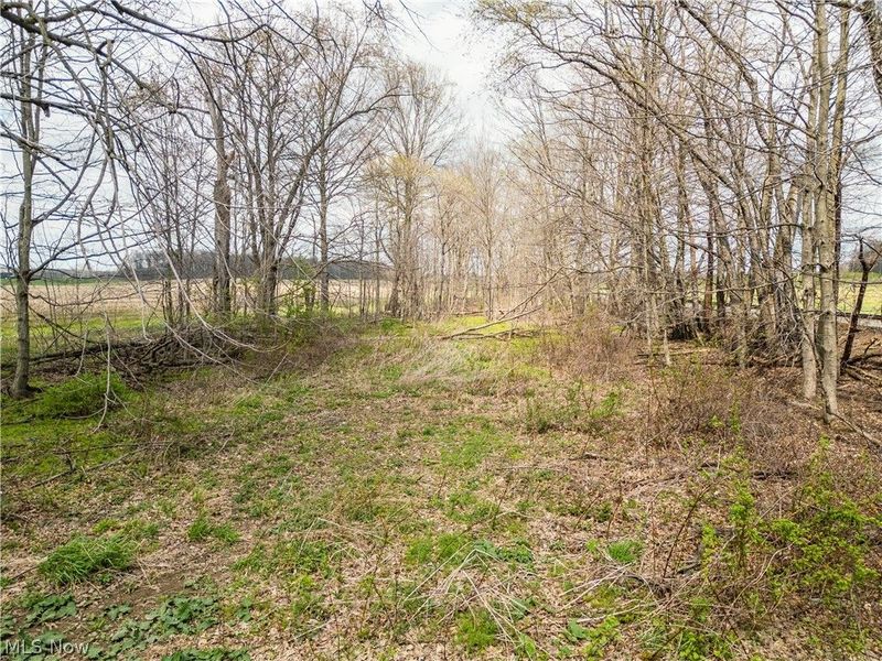 Steiner Road, Creston, OH 44217 Photo 17