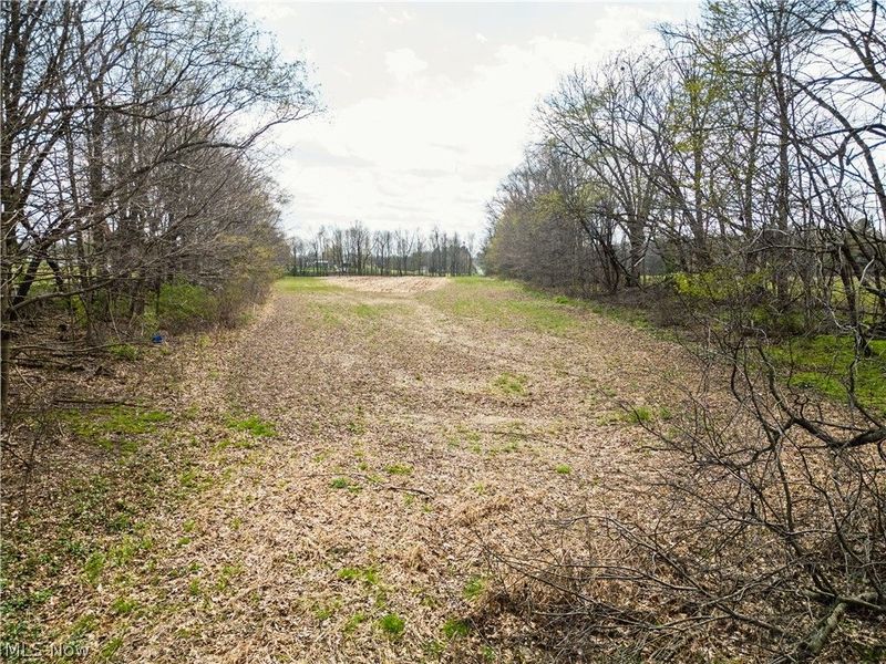 Steiner Road, Creston, OH 44217 Photo 19