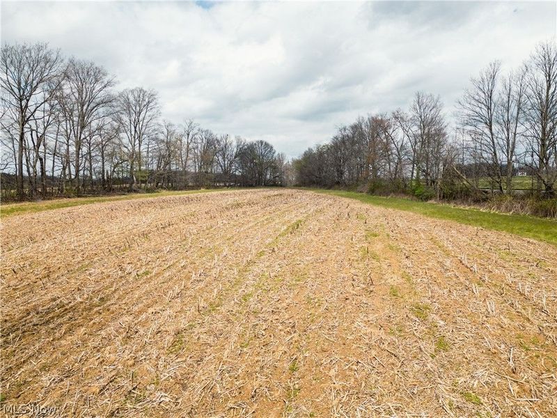 Steiner Road, Creston, OH 44217 Photo 20