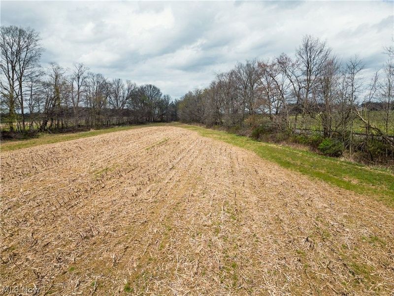 Steiner Road, Creston, OH 44217 Photo 21