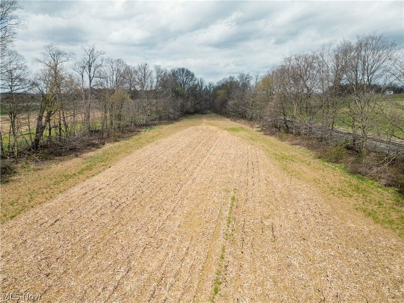 Steiner Road, Creston, OH 44217 Photo 22