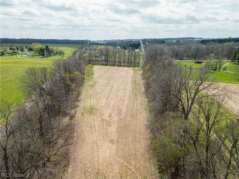 Steiner Road, Creston, OH 44217 Photo 5