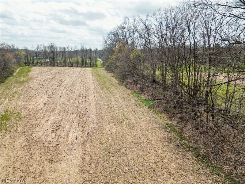 Steiner Road, Creston, OH 44217 Photo 6