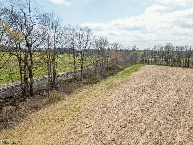 Steiner Road, Creston, OH 44217 Photo 8