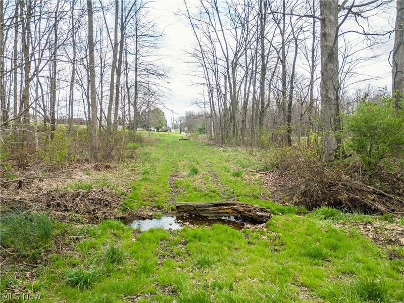 Steiner Road, Creston, OH 44217 Photo 9