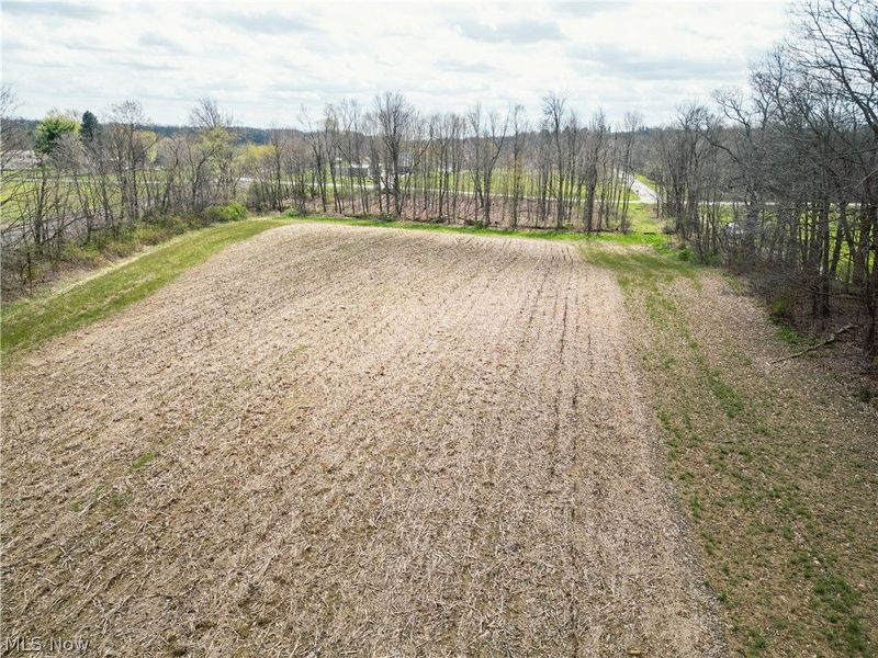 Steiner Road, Creston, OH 44217 Photo 9