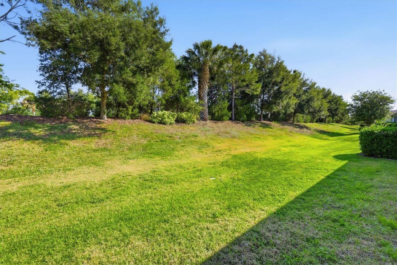 11623 Meadowgate Place, Bradenton, FL 34211 Photo