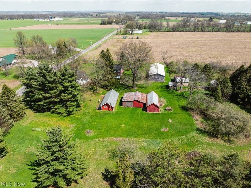 2483 Steiner Road, Creston, OH 44217 Photo 3