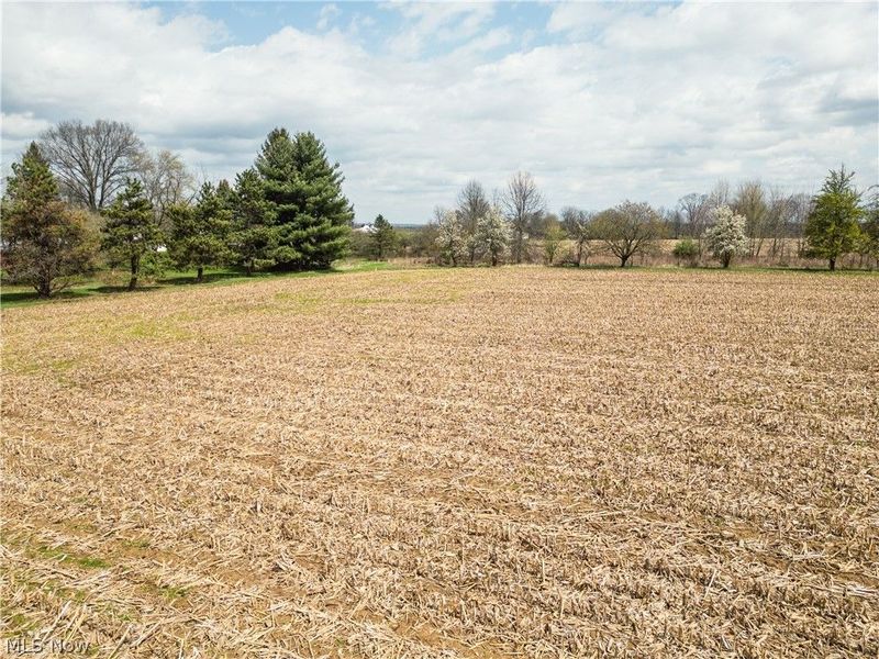 2483 Steiner Road, Creston, OH 44217 Photo 39