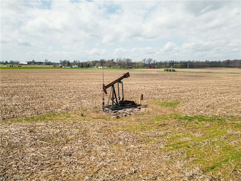 2483 Steiner Road, Creston, OH 44217 Photo 40