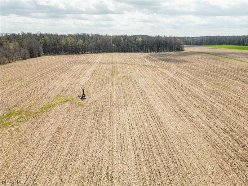 2483 Steiner Road, Creston, OH 44217 Photo 43