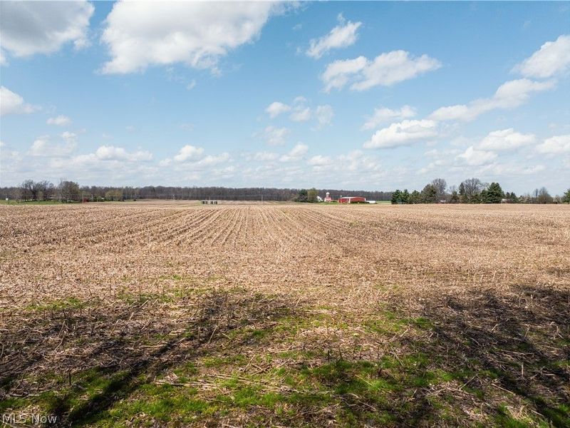 2483 Steiner Road, Creston, OH 44217 Photo 48