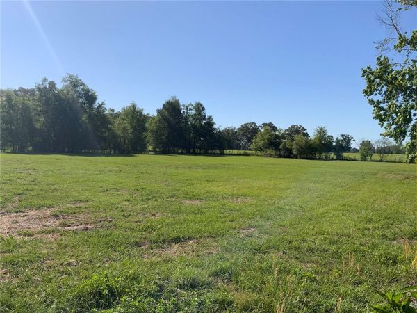 10919 NW 202ND STREET , ALACHUA, FL 32615