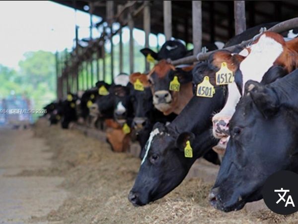 4203 SE US HWY 301 , Hawthorne, FL 32640