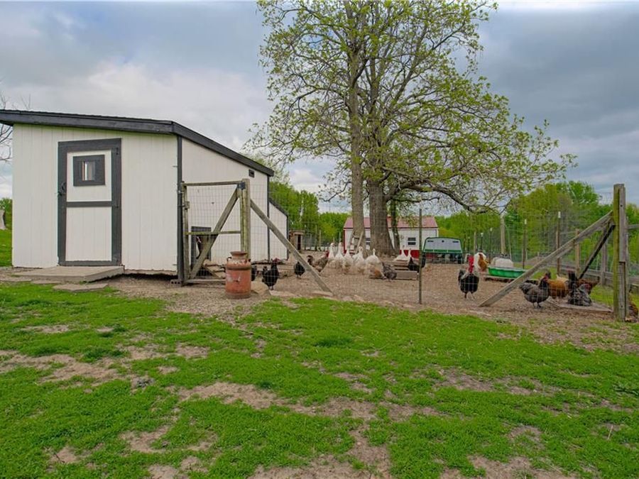 Property Image 42