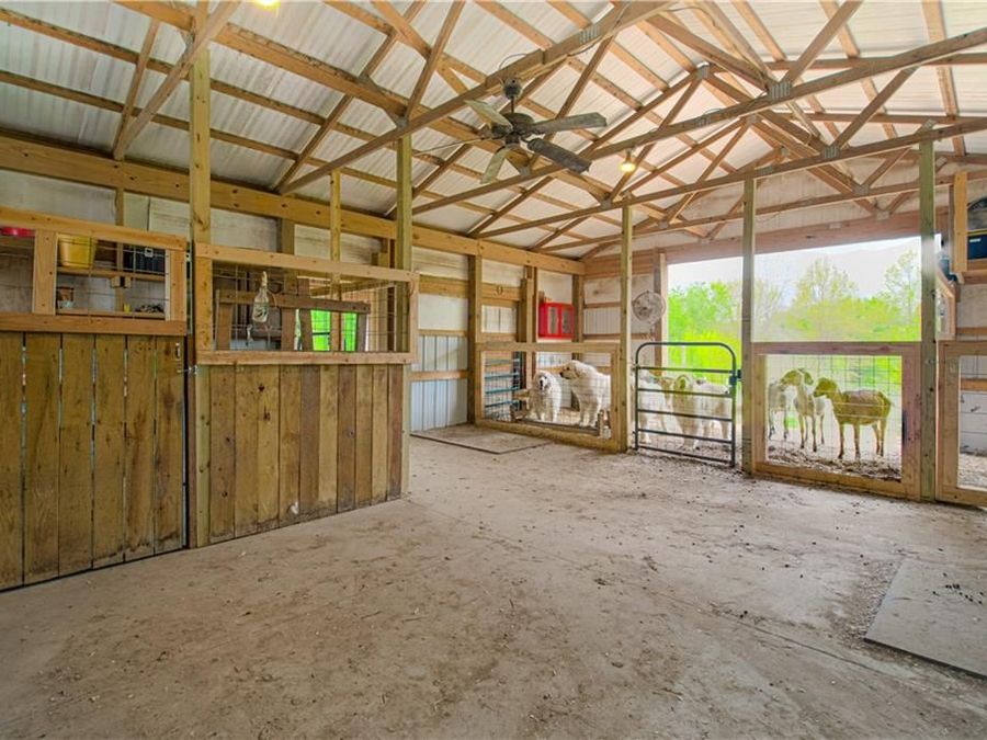Property Image 58