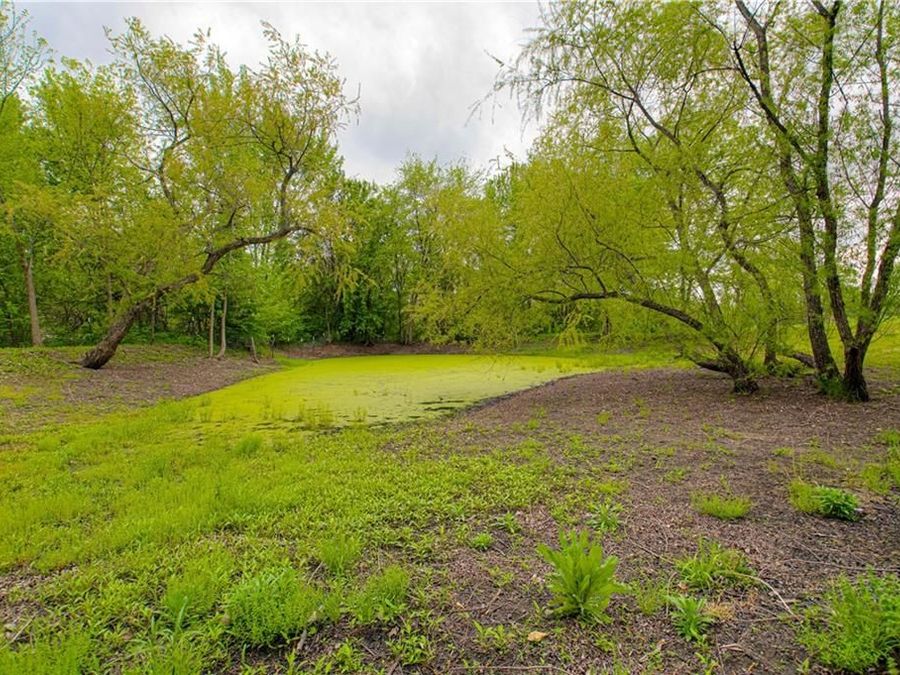 Property Image 62