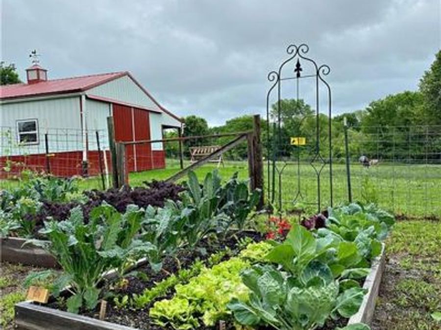 Property Image 85