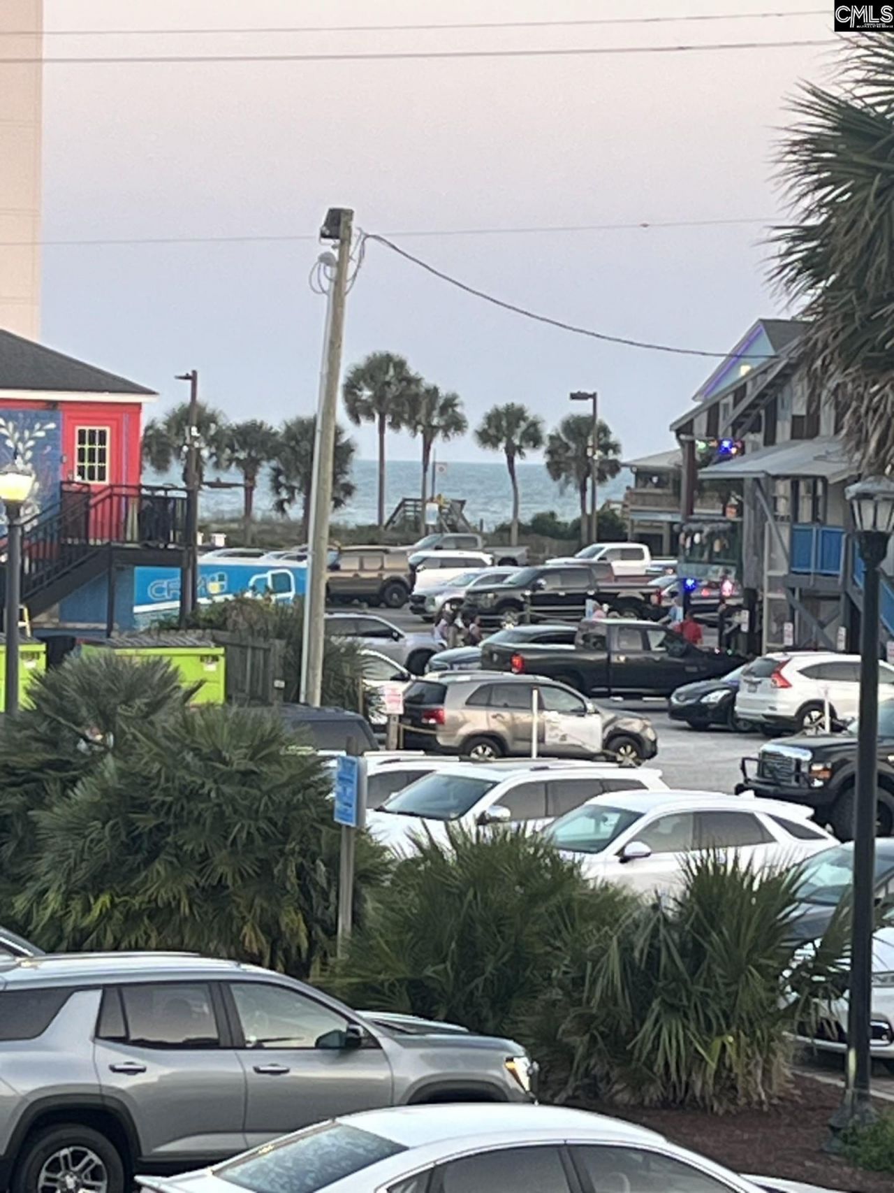 12 S Dogwood  Photo 49