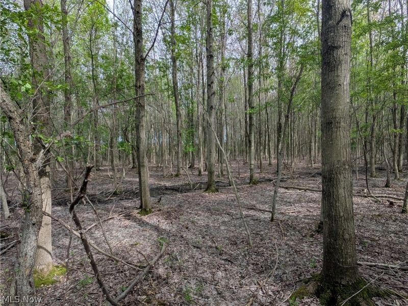 Balch Road, Thompson, OH 44086 Photo 11