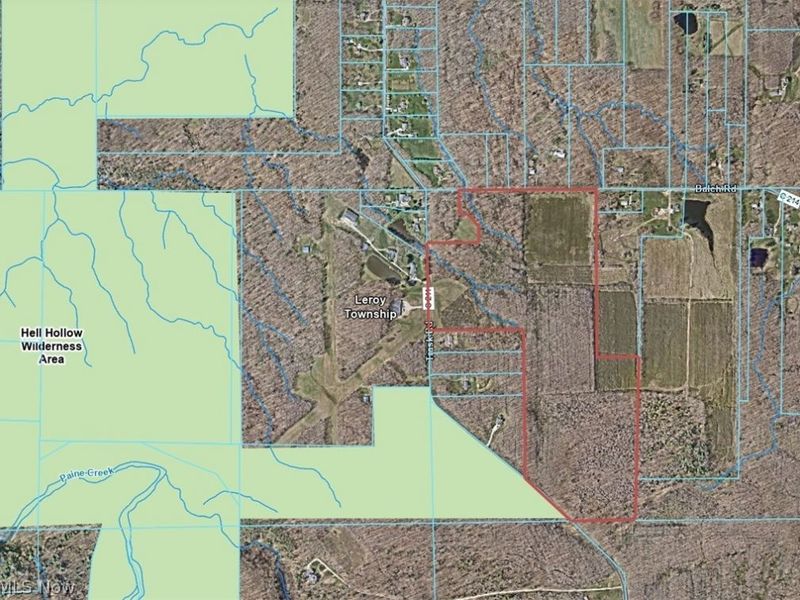 Balch Road, Leroy, OH 44086 Photo 2