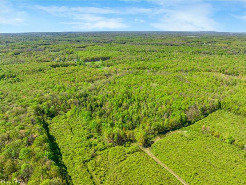 Balch Road, Thompson, OH 44086 Photo 5