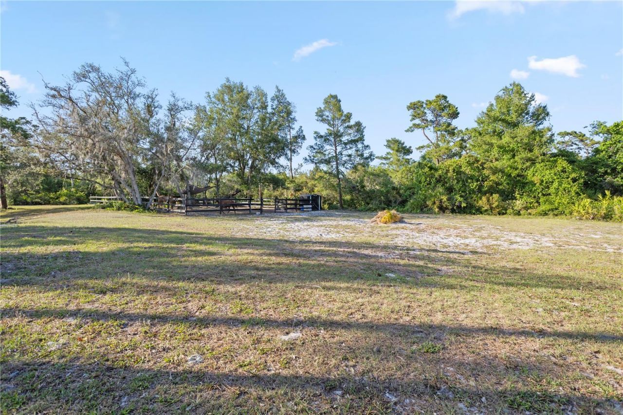 1140 Gallant Fox Way, Chuluota, FL 32766 Photo