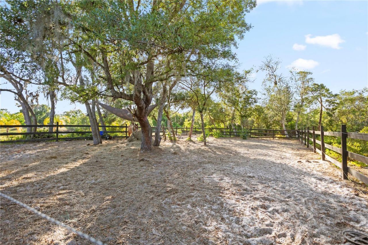 1140 Gallant Fox Way, Chuluota, FL 32766 Photo