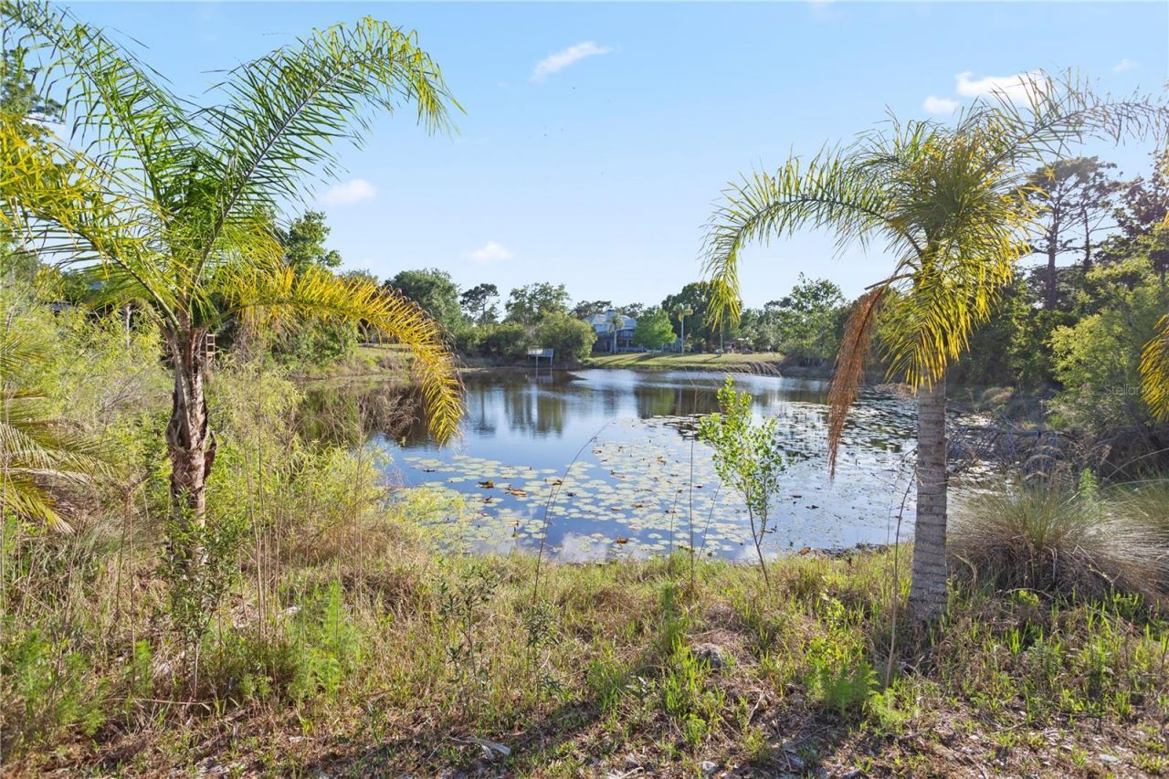 1140 Gallant Fox Way, Chuluota, FL 32766 Photo